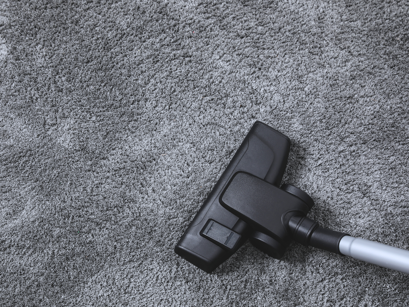 Floor Cleaning and Maintenance